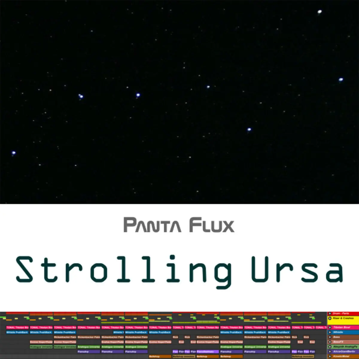 Strolling Ursa cover